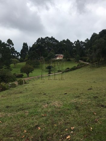agricultural em Travessão Pedro Américo, Serrano - Caxias do Sul - RS