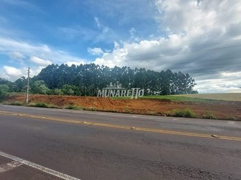land_lot em Rodovia SC-283, Santo Antônio - Concórdia - SC