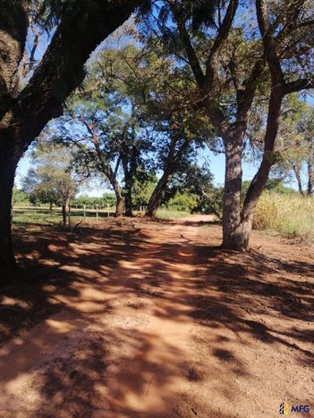 commercial_building em Avenida do Folclore, Jardim Santa Ifigênia - Olímpia - SP