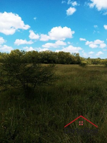 land_lot em Otaviano Jose Pinto, Lami - Porto Alegre - RS