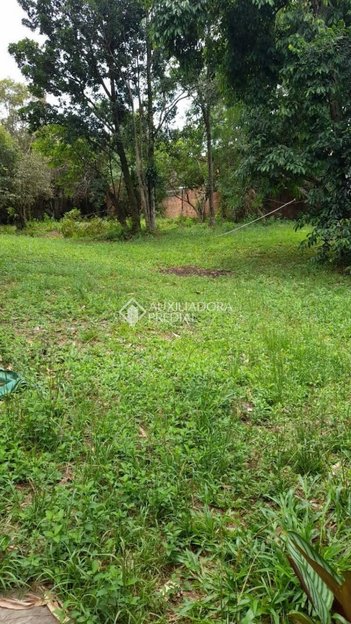 agricultural em Avenida Doutor Sezefredo Azambuja Vieira, Olaria - Canoas - RS