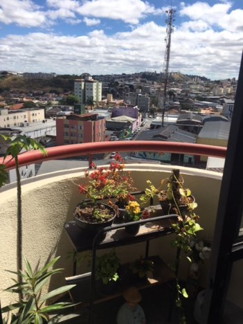 apartment em Rua Vila Rica, Padre Eustáquio - Belo Horizonte - MG