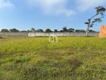 land_lot em Estrada Municipal João Gadioli, Quiririm - Taubaté - SP