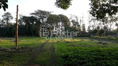 land_lot em Avenida Edgar Pires de Castro, Restinga - Porto Alegre - RS