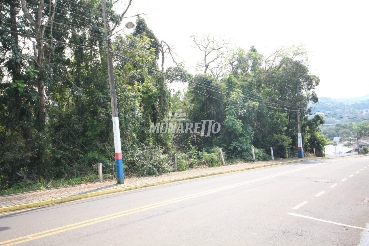 terreno-a-venda-393m-centro-piratuba-sc1743628097071ltzfv.jpg