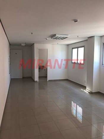 office em Voluntários Da Pátria, Santana - São Paulo - SP