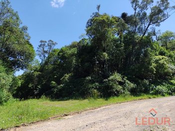 land_lot em Avenida B, São Francisco de Paula - São Francisco de Paula - RS