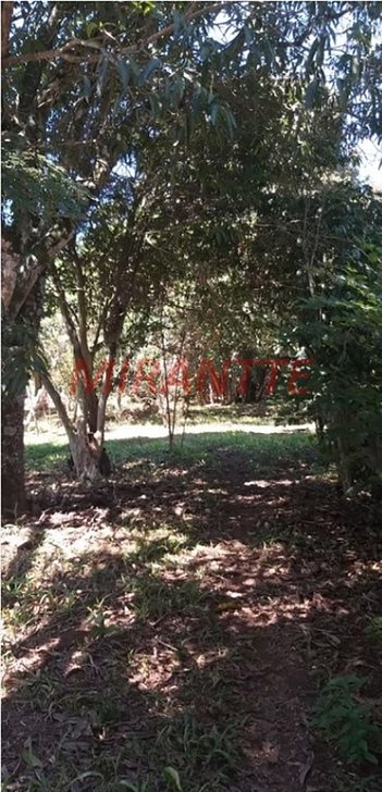 land_lot em Área Rural, Área Rural de Mairiporã - Mairiporã - SP