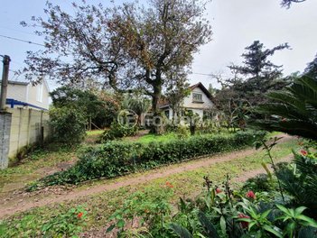 commercial_property em Estrada Jacques da Rosa, Lageado - Porto Alegre - RS