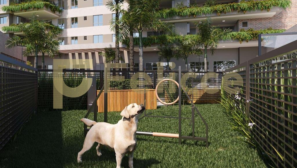 250_pet_place.jpg