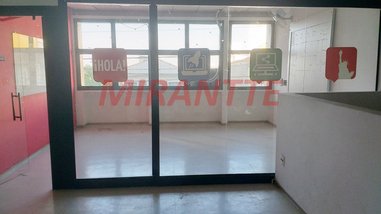 office em Rua Alfredo Pujol, Santana - São Paulo - SP