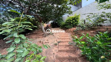 land_lot em Rua Campos Altos, Alto Caiçaras - Belo Horizonte - MG