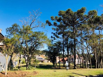 land_lot em Rua Rodolfo Schlieper, Centro - Canela - RS