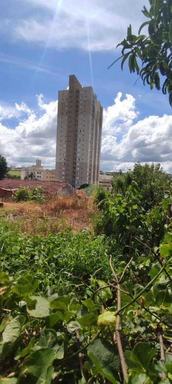 land_lot em Rua Pioneiro Alberto Biazon, Vila Marumby - Maringá - PR