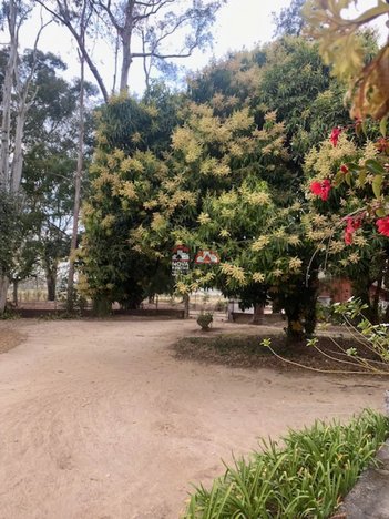 agricultural em Rua Claudino Ribeiro da Silva, Vila Menino Jesus - Caçapava - SP