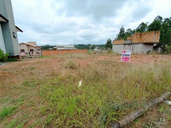land_lot em Rodovia José Guedin Neto, Linha Anta - Criciúma - SC