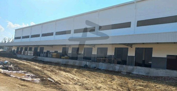 image - 2025-07-23T165806