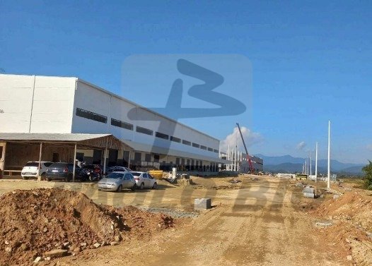 image - 2025-07-23T165741