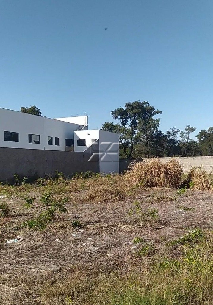 Area ( foto 2)