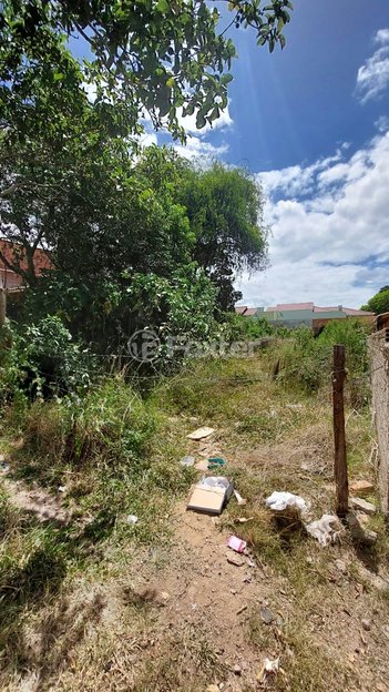 land_lot em Travessa Oswaldo de Deus e Silva, Vila Nova - Porto Alegre - RS