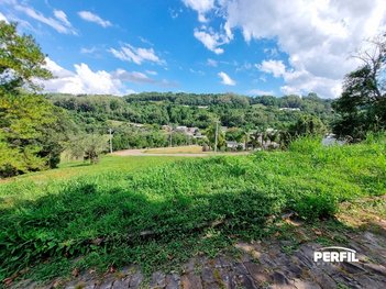 land_lot em Municipal Vereador Vicente Menezes, Linha 40 - Caxias do Sul - RS