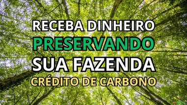 agricultural em Avenida dos Andradas, Santa Efigênia - Belo Horizonte - MG