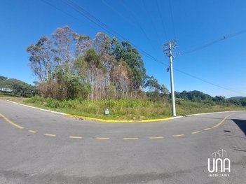 land_lot em Rua Balduino Spolti, Tamandaré - Garibaldi - RS