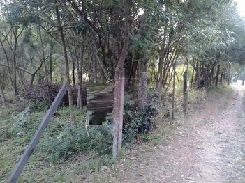 land_lot em Dolores Duran, Lomba do Pinheiro - Porto Alegre - RS