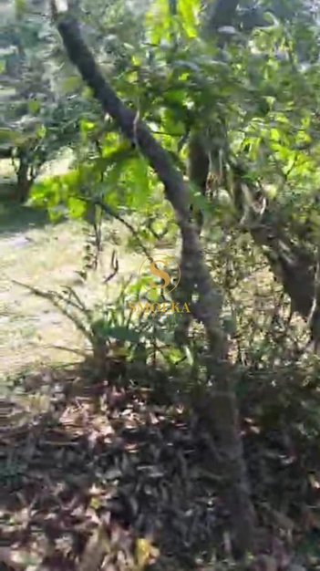 land_lot em Servidão Biguá, Capoeiras - Florianópolis - SC