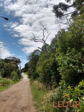 land_lot em Rua Maracajás, São Francisco de Paula - São Francisco de Paula - RS