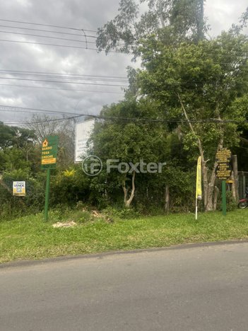 land_lot em Beco Souza Costa, Morro Santana - Porto Alegre - RS