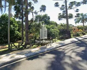 land_lot em Rua Tenente Henrique Kubiak, Colônia Dona Luíza - Ponta Grossa - PR
