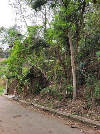 land_lot em Rua das Violetas, Parque Sinai - Santana de Parnaíba - SP