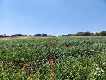 commercial_building em Estrada João Coelho Ramalho, Puris - Ibiúna - SP
