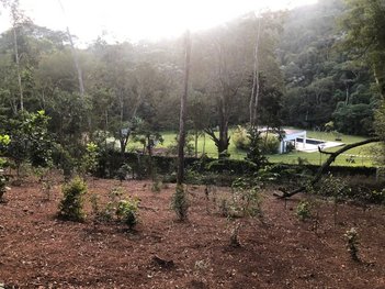 land_lot em Estrada da Cachoeira, Araras - Petrópolis - RJ