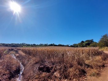 land_lot em Estrada Mauro Trindade, Jardim Aurora lll - Sarandi - PR