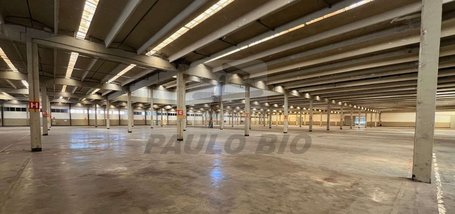 industrial em Arnaldo Magniccaro, Vila Gea - São Paulo - SP