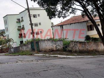 land_lot em Manuel Morais Pontes, Vila Albertina - São Paulo - SP