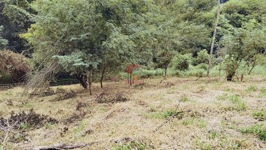 land_lot em Alameda Godofredo Guedes, Le Cottage - Nova Lima - MG