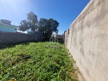 land_lot em Rua Euclides Carmona, Jardim São Rafael - São Paulo - SP