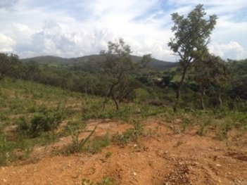 agricultural em Avenida Prefeito João Daher, Centro - Lagoa Santa - MG