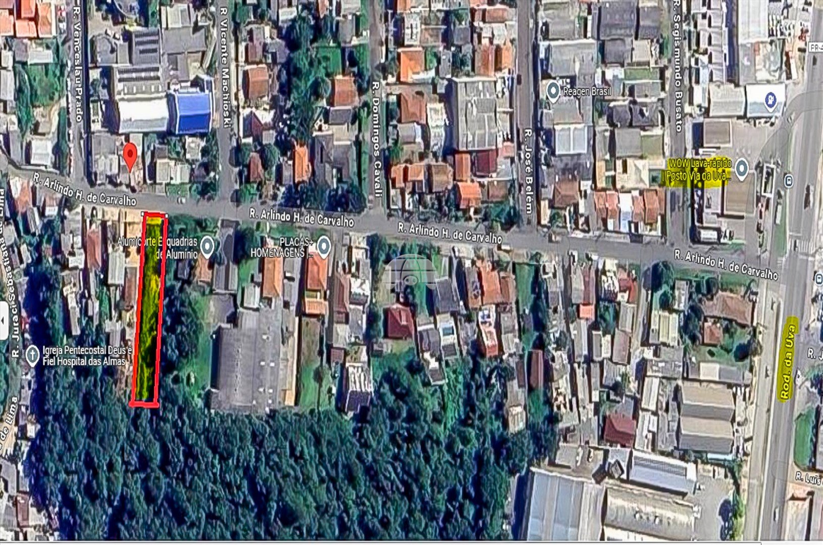 image-7