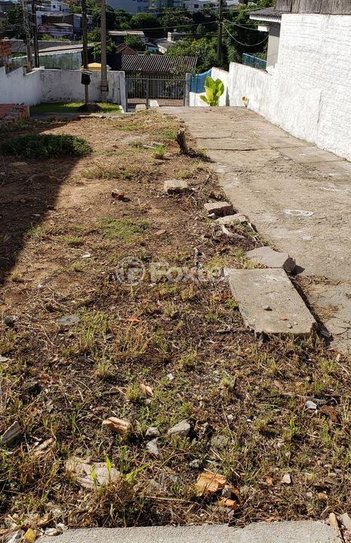 land_lot em Rua Francisco de Aquino, Vila Jardim - Porto Alegre - RS