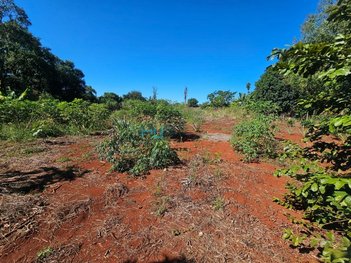 land_lot em Rodovia Mábio Gonçalves Palhano, Gleba Fazenda Palhano - Londrina - PR