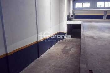 industrial em Rua Engenheiro José Rubbo, Cidade Centenário - São Paulo - SP