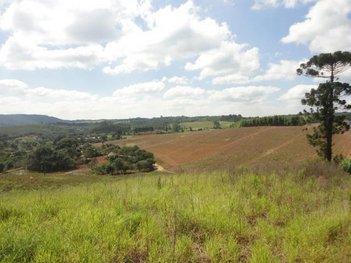 land_lot em Estrada da Capelinha, Terras de São Felipe (Caucaia do Alto) - Cotia - SP