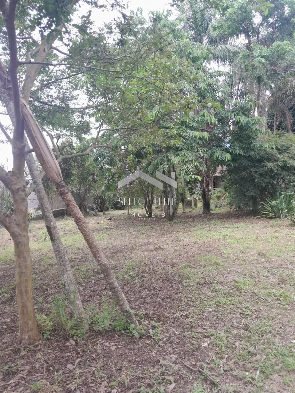 img2