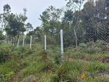 land_lot em Vila Pedro Vogel, Bingen - Petrópolis - RJ