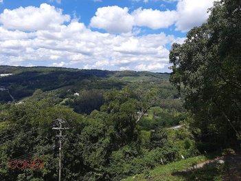 land_lot em Estrada Vereador Vicente Menezes, Linha 40 - Caxias do Sul - RS