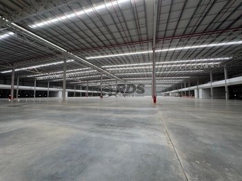 industrial em Avenida Antônio Cardoso, Parque Jaçatuba - Santo André - SP